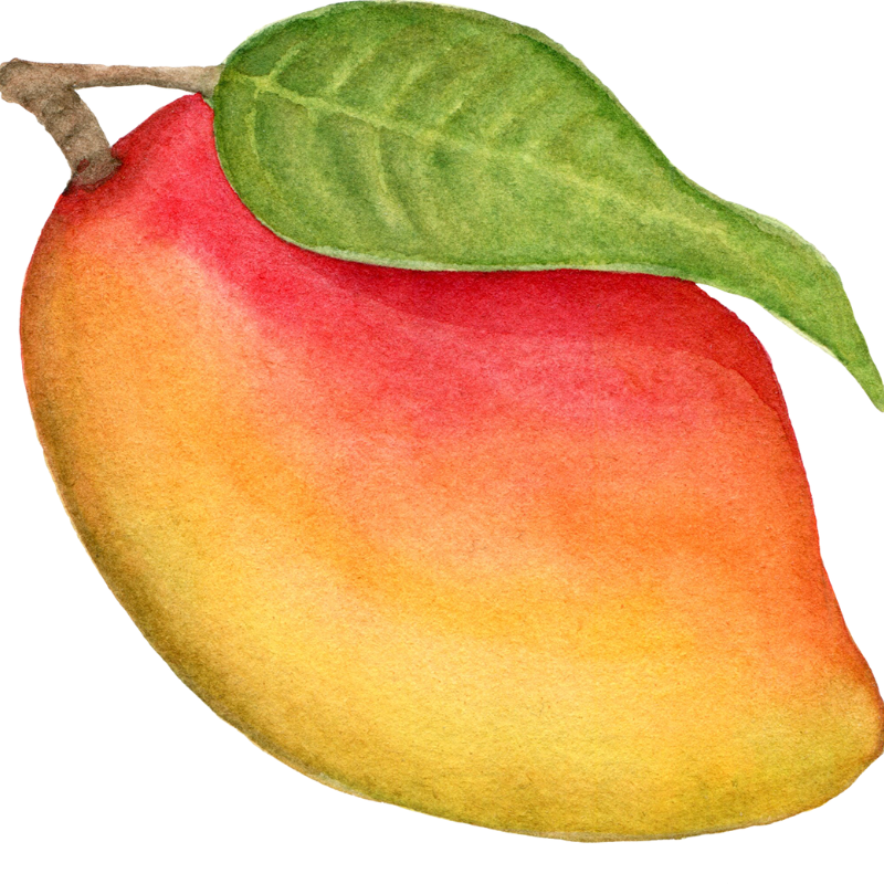 Vonný difuzér Mango